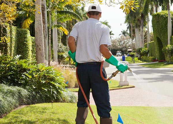 About Wolcott CO Pest Control Pros